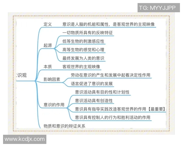 上海排球队的战术运营体系解析与实践探索 上海排球队的战术运营体系解析与实践探索