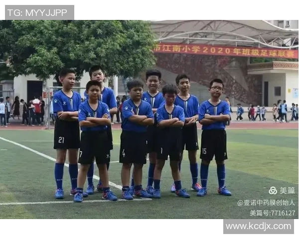 在绿茵场上追梦足球小说苏的青春与热血故事