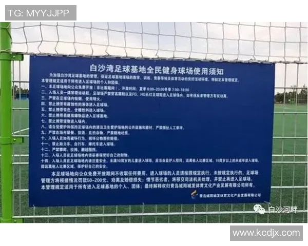 足球场收费标准详解及不同场地类型的费用对比分析 足球场收费标准详解及不同场地类型的费用对比分析