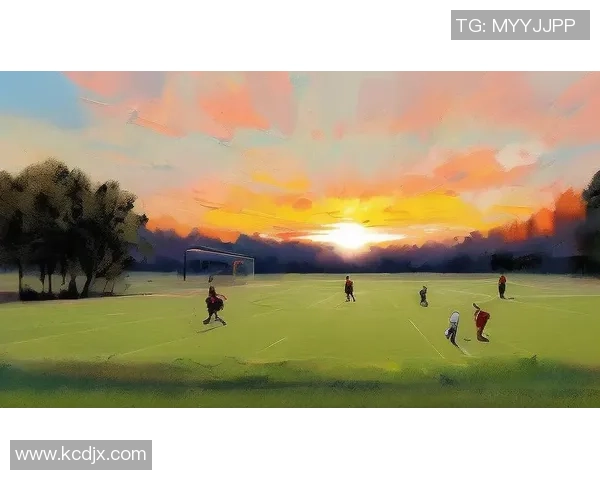 老林足球：探索足球背后的故事与激情，感受绿茵场上的友谊与竞争